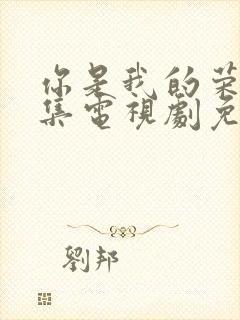 你是我的荣耀全集电视剧免费观看