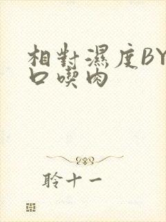 相对湿度BY大口吃肉