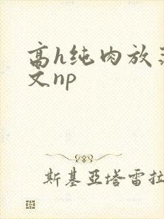 高h纯肉放荡h文np