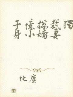 千亿总裁独宠替身小娇妻