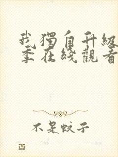 我独自升级第二季在线观看免费