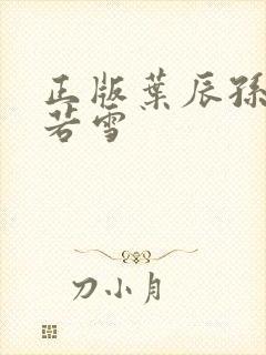 正版叶辰孙怡夏若雪