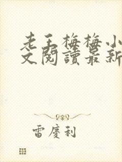 老王梅梅小说全文阅读最新章节更新