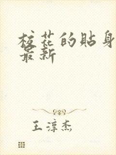 校花的贴身高手最新