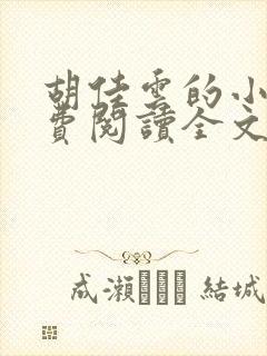 胡佳云的小说免费阅读全文无弹窗封面