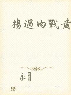 杨过肉战黄蓉封面