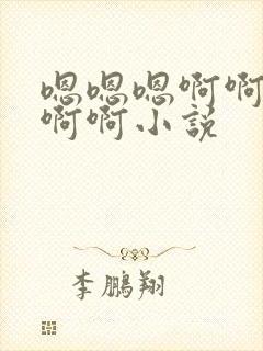 嗯嗯嗯啊啊啊啊啊啊小说封面