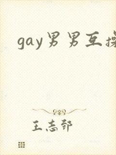 gay男男互操