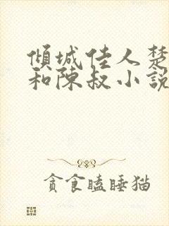 倾城佳人楚青丝和陈叔小说封面