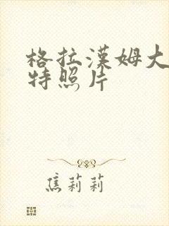 格拉汉姆大码模特照片封面