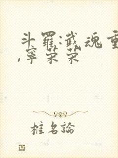 斗罗:武魂重瞳,宁荣荣