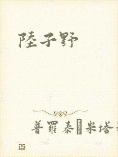 陆子野封面