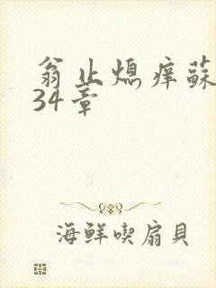 翁止熄痒苏钥第34章