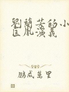 刘兰芳的小说赵匡胤演义