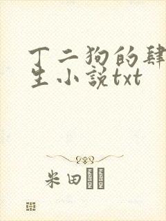 丁二狗的肆意人生小说txt