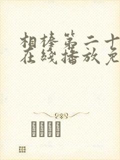 相棒第二十四季在线播放免费观看封面