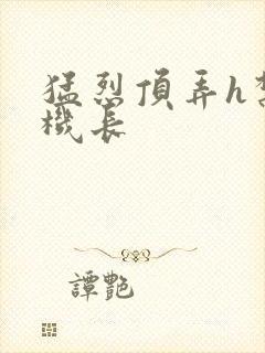 猛烈顶弄h禁欲机长封面