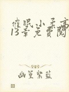 催眠小柔高达第13章免费阅读