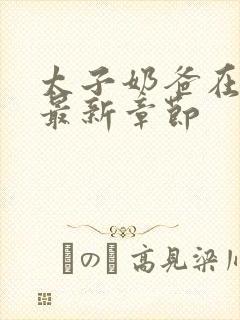 太子奶爸在花都最新章节