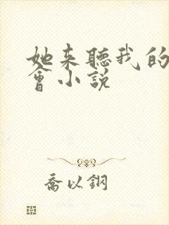 她来听我的演唱会小说