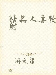 精品人妻发骚内射