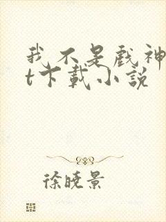 我不是戏神txt下载小说