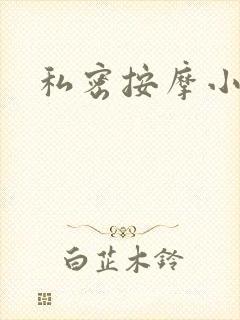 私密按摩小说