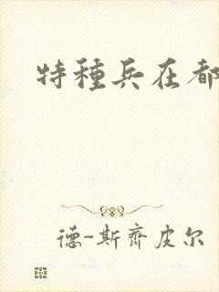 特种兵在都市