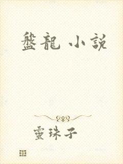 盘龙 小说