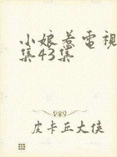 小娘惹电视剧全集43集封面