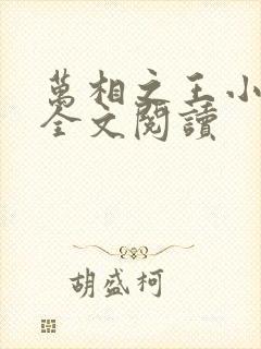 万相之王小说读全文阅读