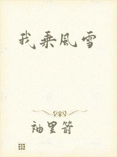 我乘风雪