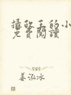 摄政王的小宠妃免费阅读封面