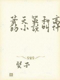 萧天策和高薇薇的小说叫什么名字