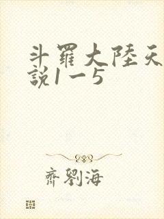 斗罗大陆天狂传说1一5