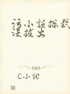 污小说总裁整夜没拔出