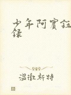 少年阿宾钰慧目录