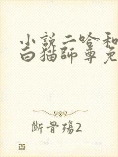 小说二哈和他的白猫师尊免费阅读封面