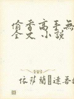 偷香高手无删减全文 小说封面