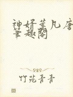 神婿叶凡唐若雪笔趣阁