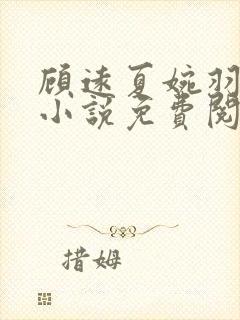 顾远夏婉羽林军小说免费阅读笔趣阁