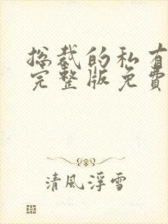 总裁的私有宝贝完整版免费阅读