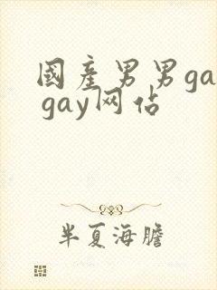 国产男男gay gay网站