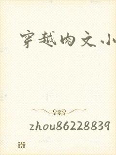 穿越肉文小说封面