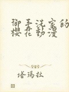 御手洗家的银事樱花动漫封面