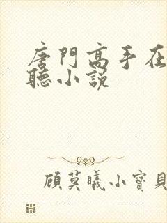 唐门高手在异世听小说