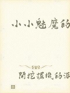 小小魅魔的仆人
