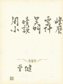 周晴吴云峰李磊小说叫什么名字