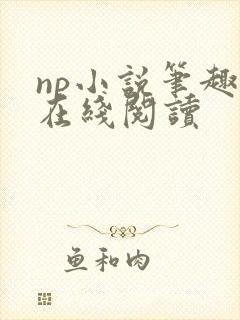 np小说笔趣阁在线阅读封面