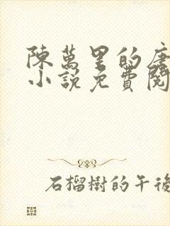 陈万里的唐嫣然小说免费阅读最新章节